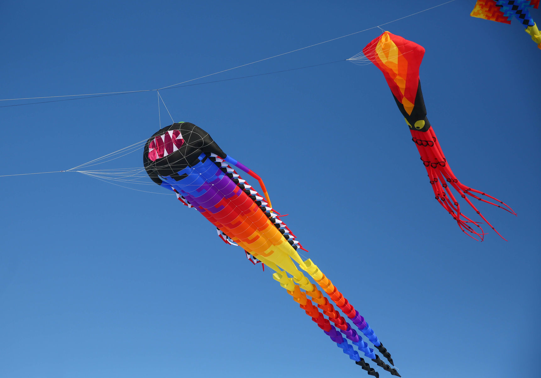 Color the Wind kite festival 02-15-2020 (60).jpg